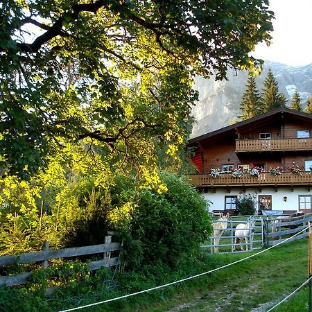 Haus Berghild Apartment Ramsau am Dachstein Exterior photo